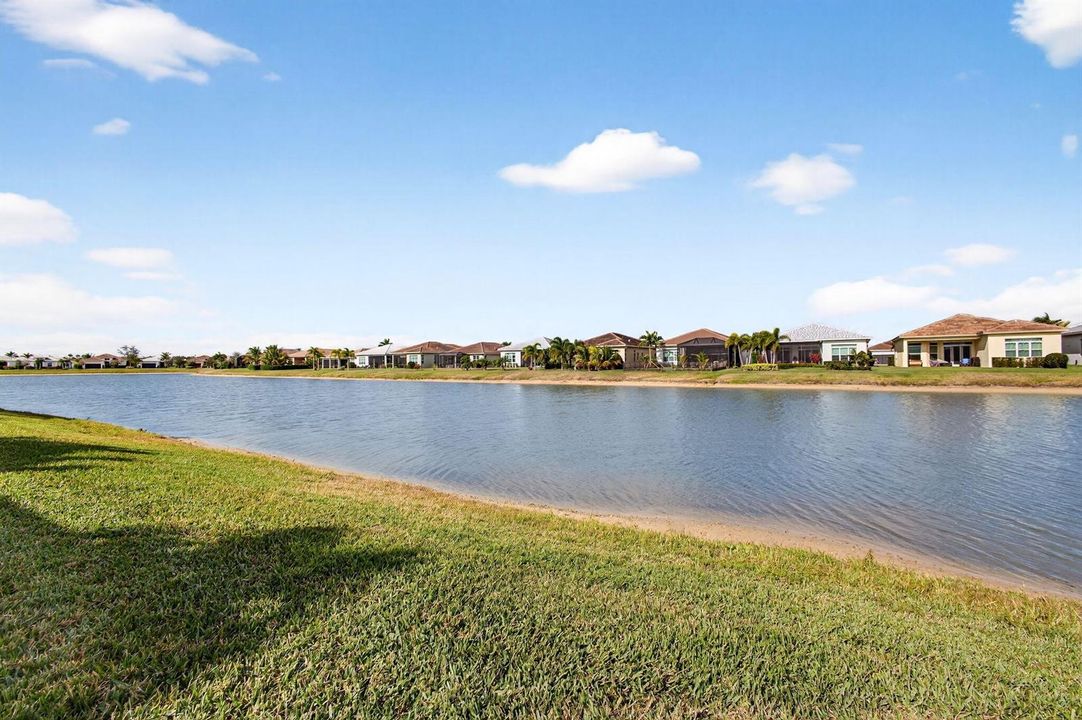 66-web-or-mls-5P1A6458