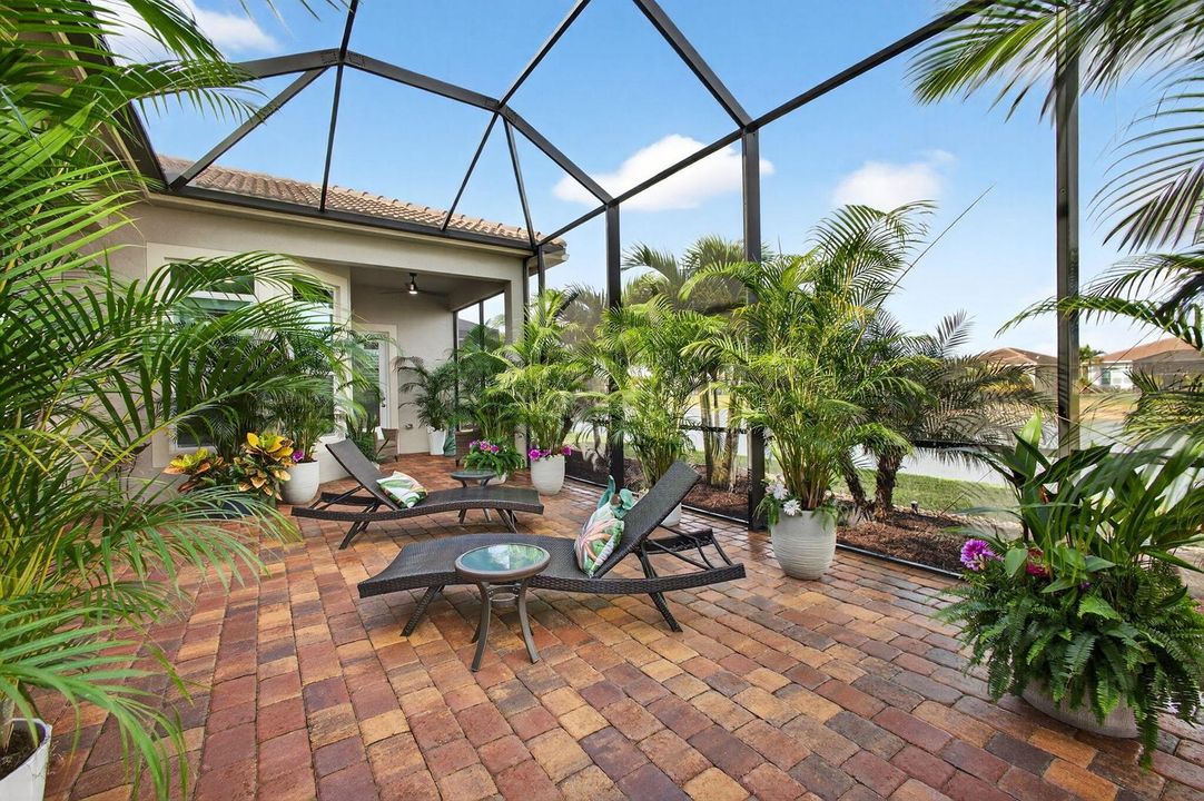 60-web-or-mls-5P1A6447