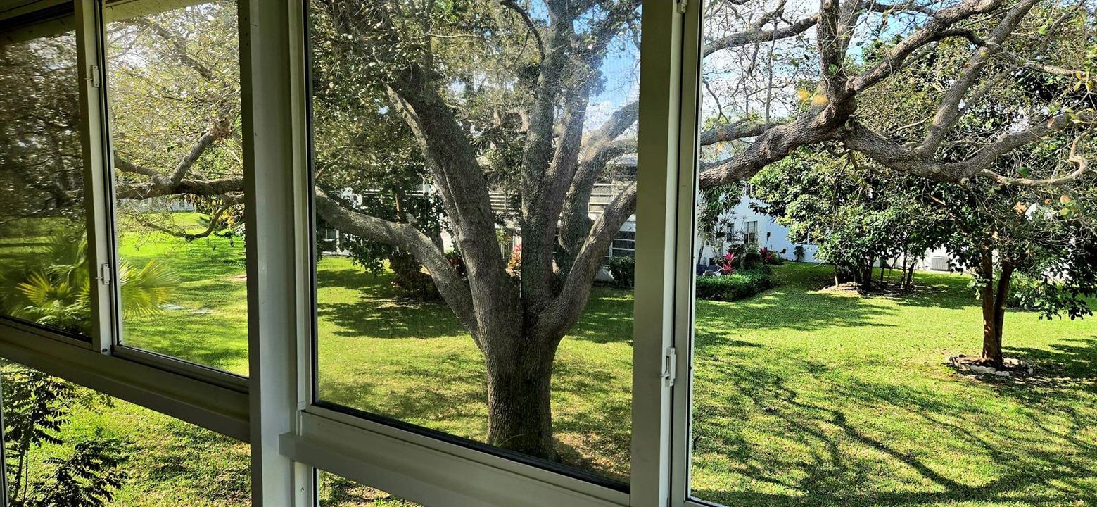 TILFORD PATIO TROPICAL VIEWS