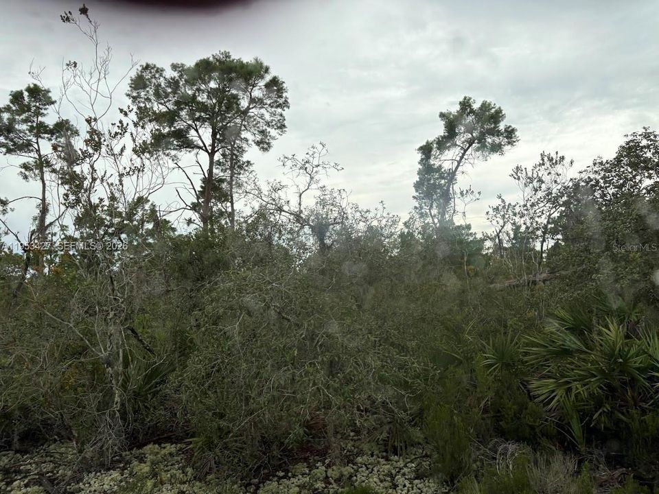 待售: $35,000 (0 贝兹, 0 浴室, 0 平方英尺)