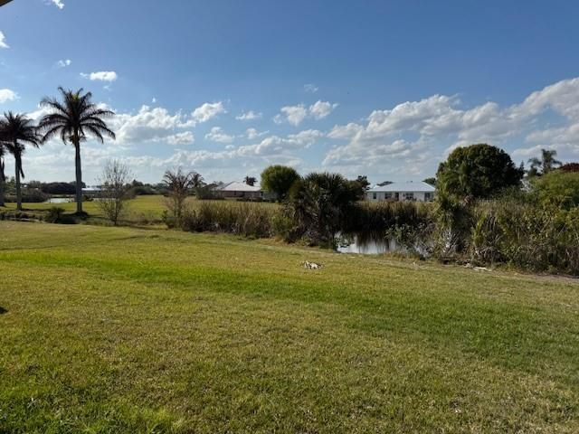 back yard view