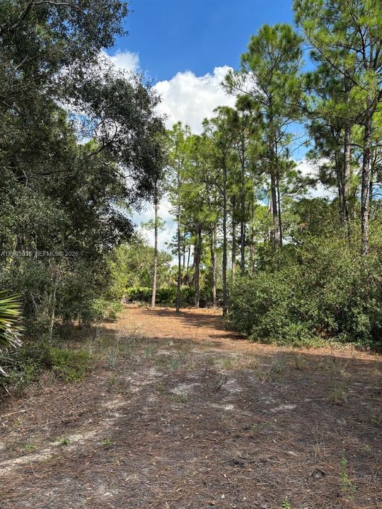 Recently Sold: $349,900 (4 beds, 2 baths, 0 Square Feet)