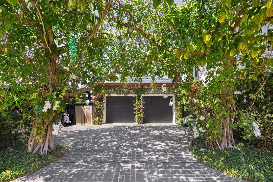 Driveway 5