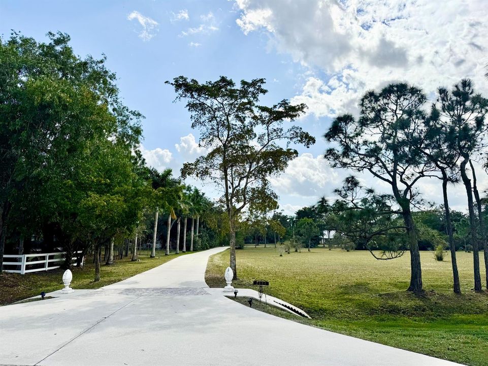 Driveway