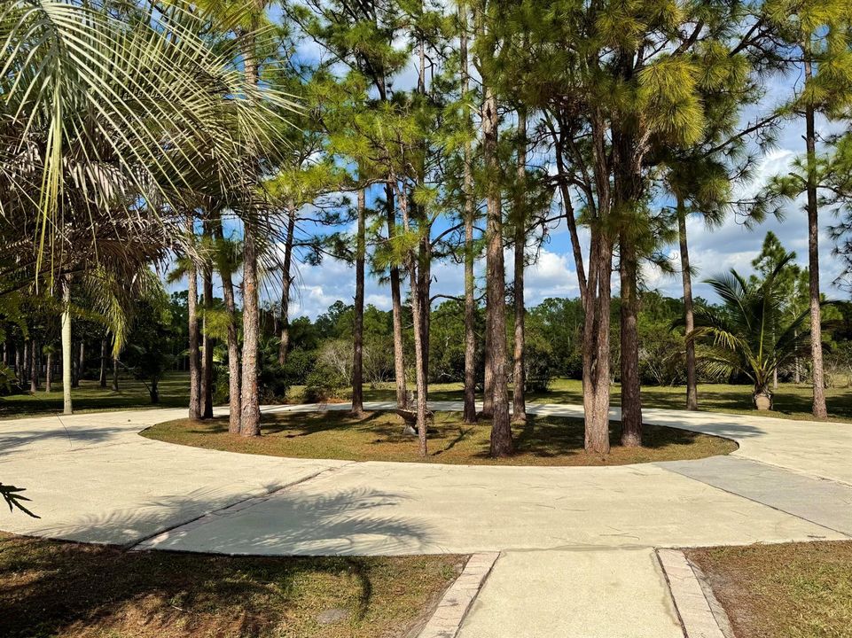 circular drive