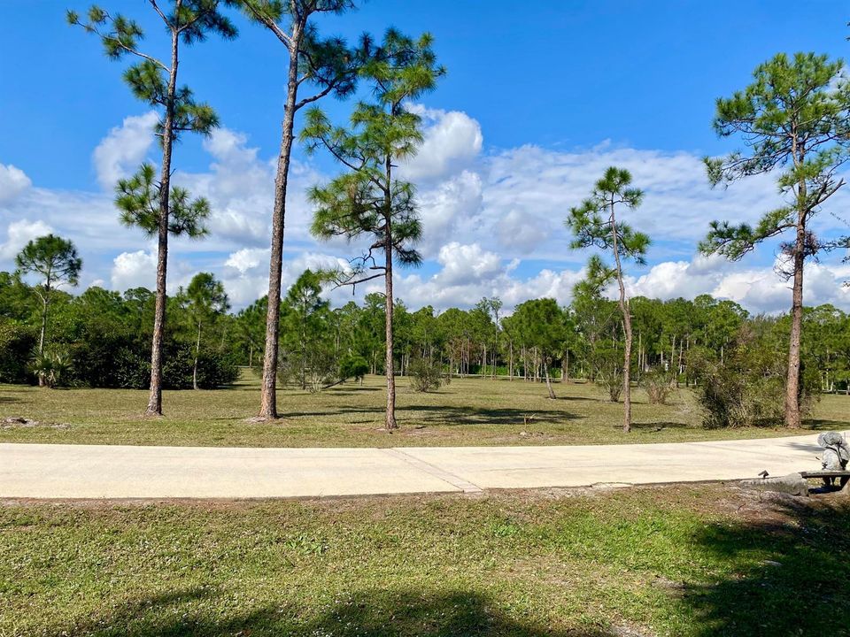 front yard