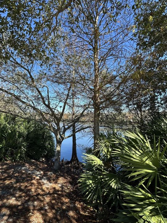 Peekaboo Lake View