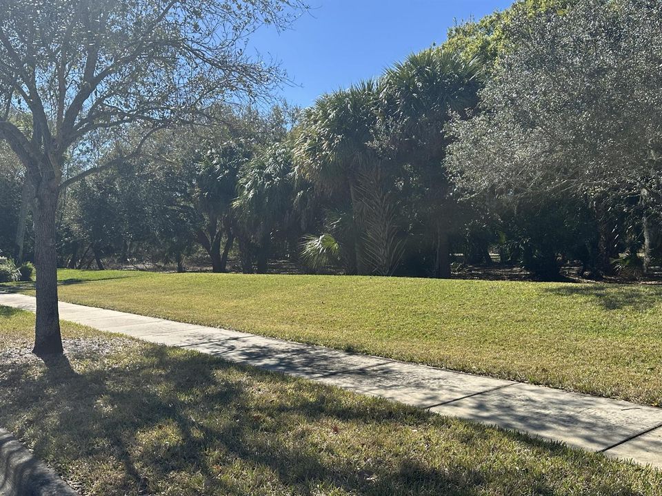 Greenspace across the street