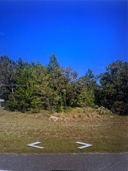 For Sale: $10,000 (0.22 acres)