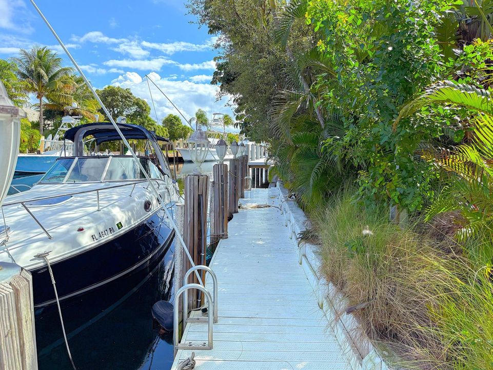 Dock View South