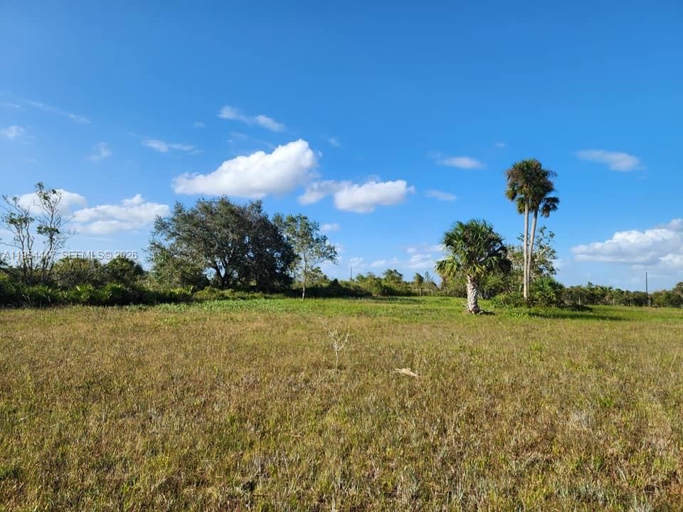 For Sale: $55,000 (1.25 acres)