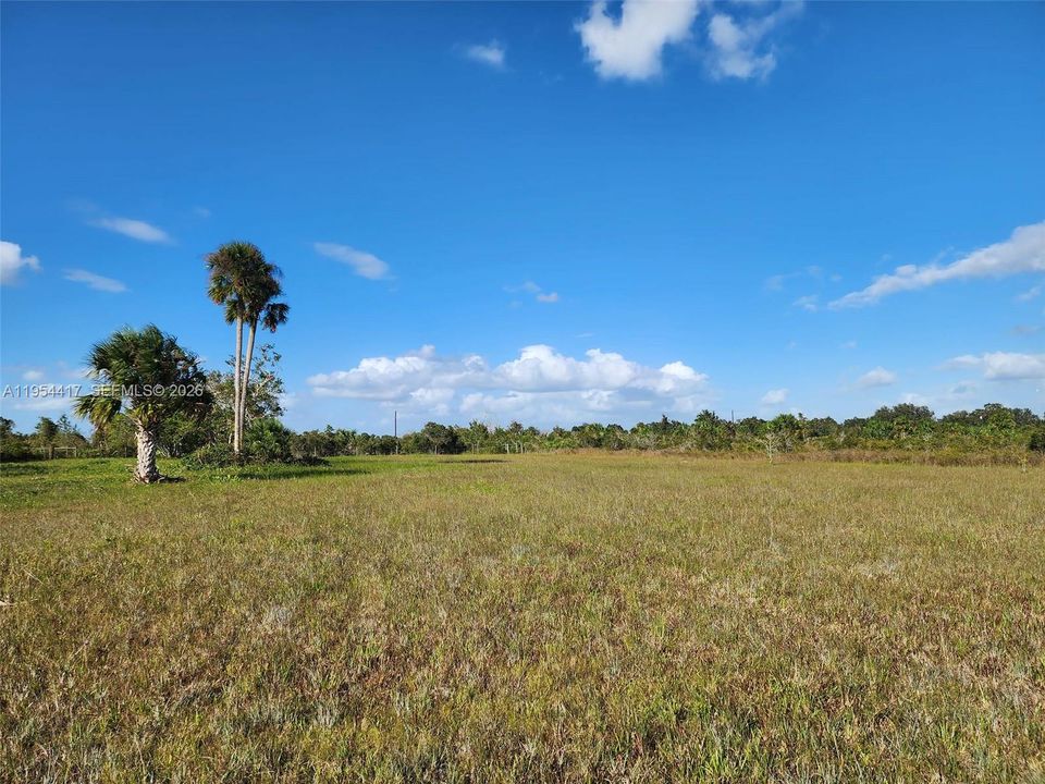 For Sale: $55,000 (1.25 acres)