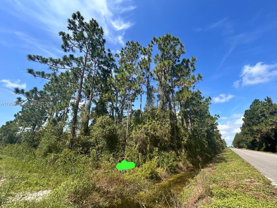 For Sale: $62,500 (0.95 acres)