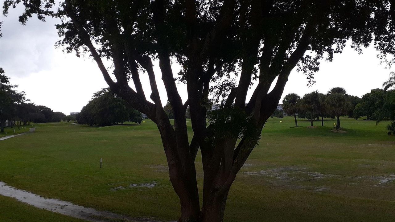 Golf Course view from balcony