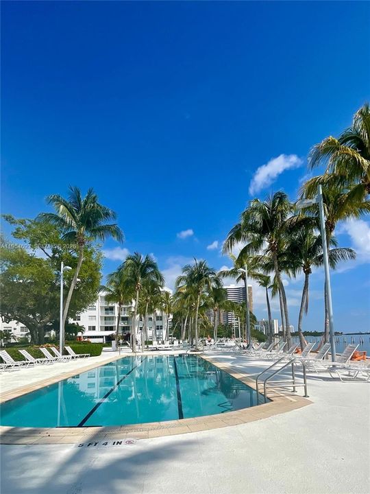 For Sale: $350,000 (1 beds, 1 baths, 770 Square Feet)