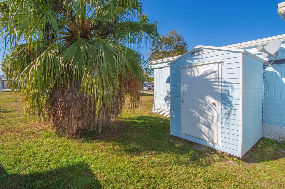 Shed