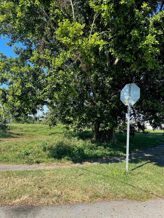 Corner