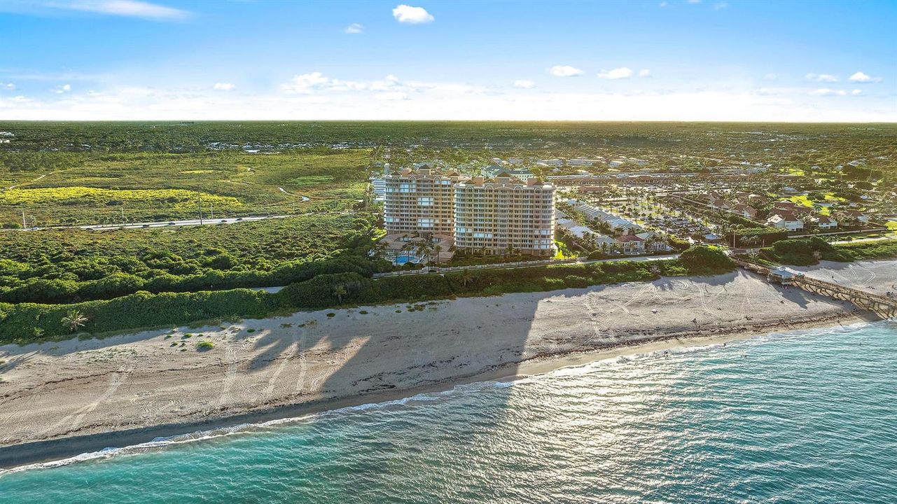 700 Ocean Royale 302-5