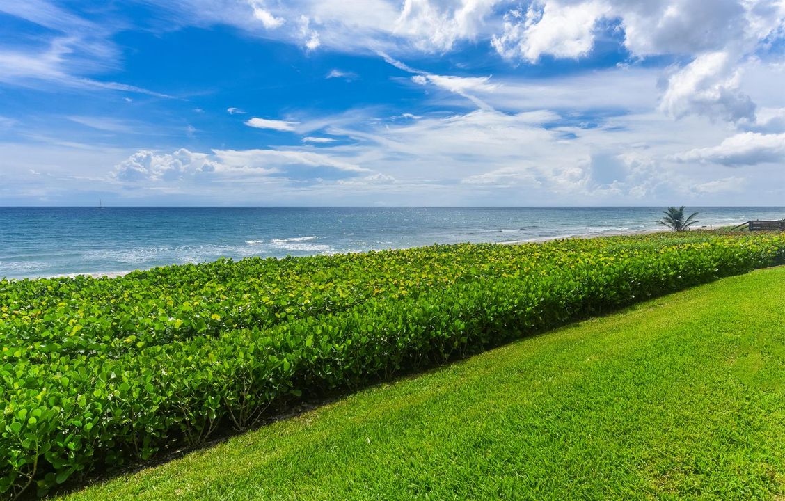 ocean view