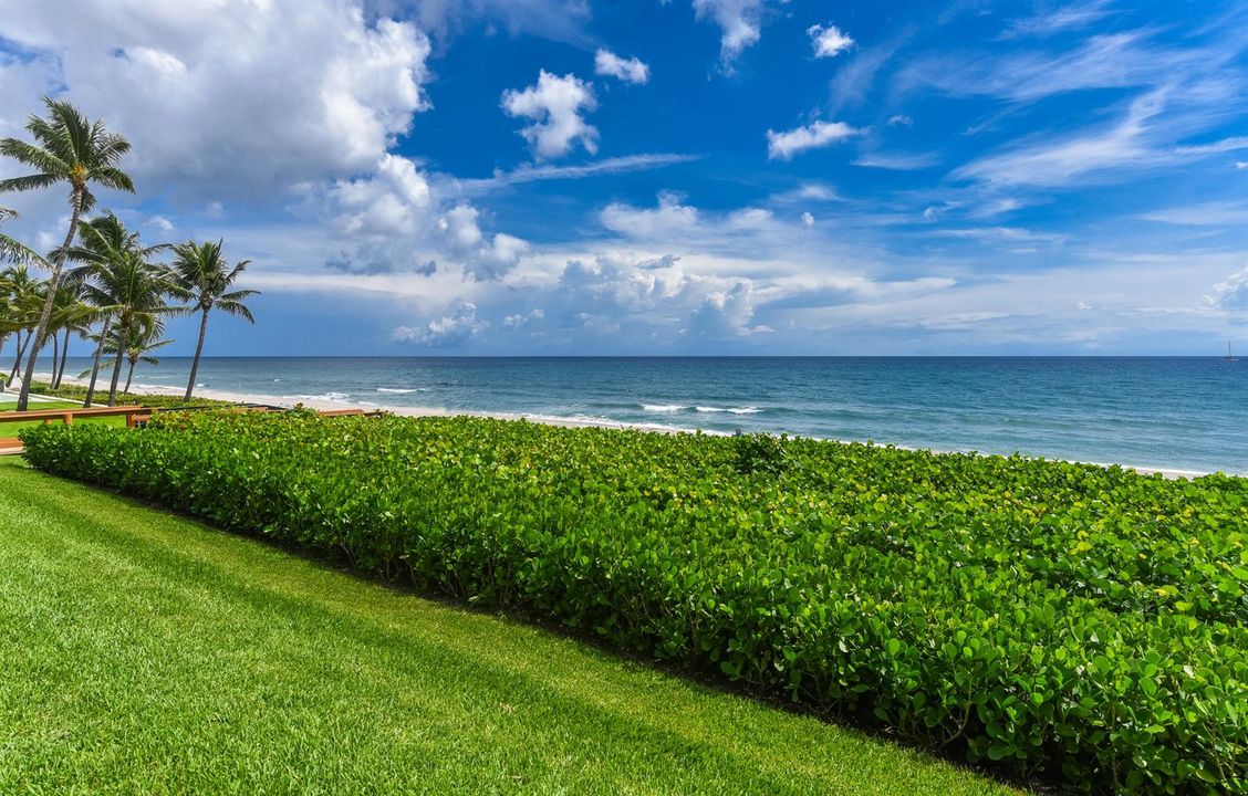 ocean view