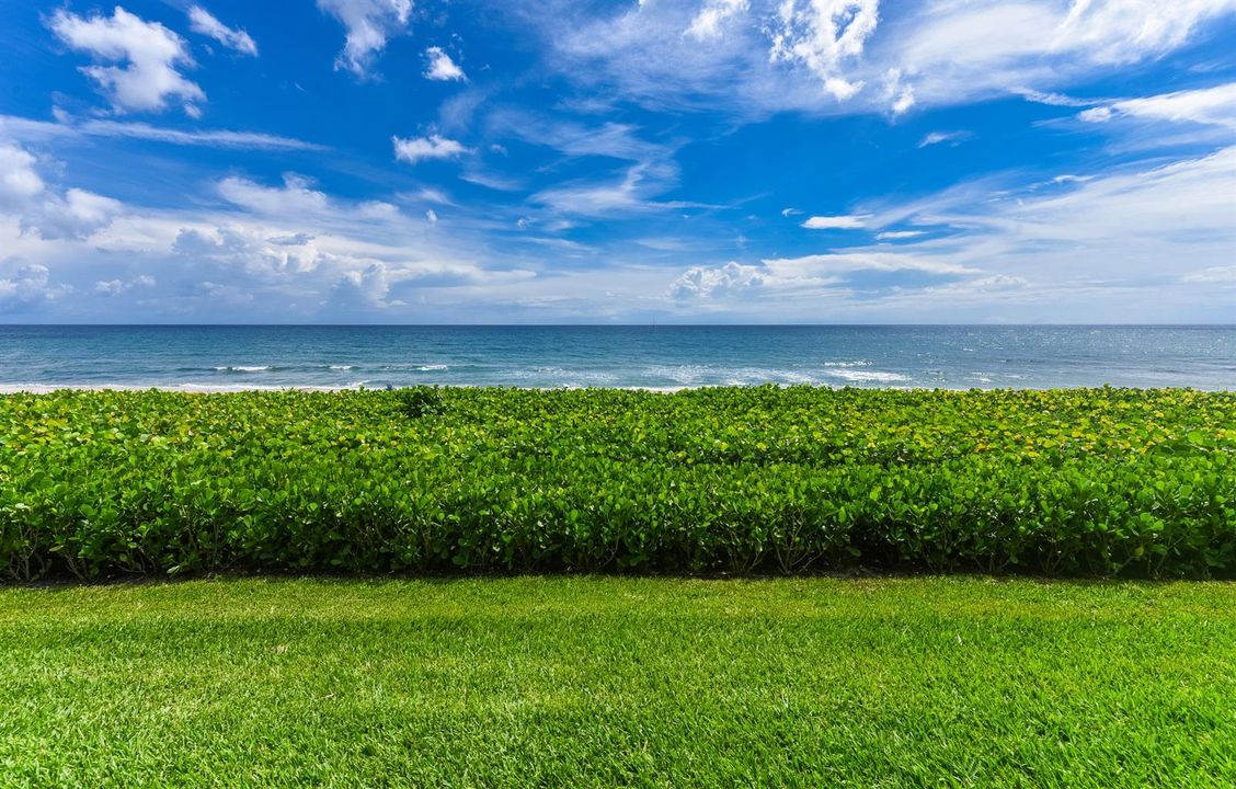ocean view
