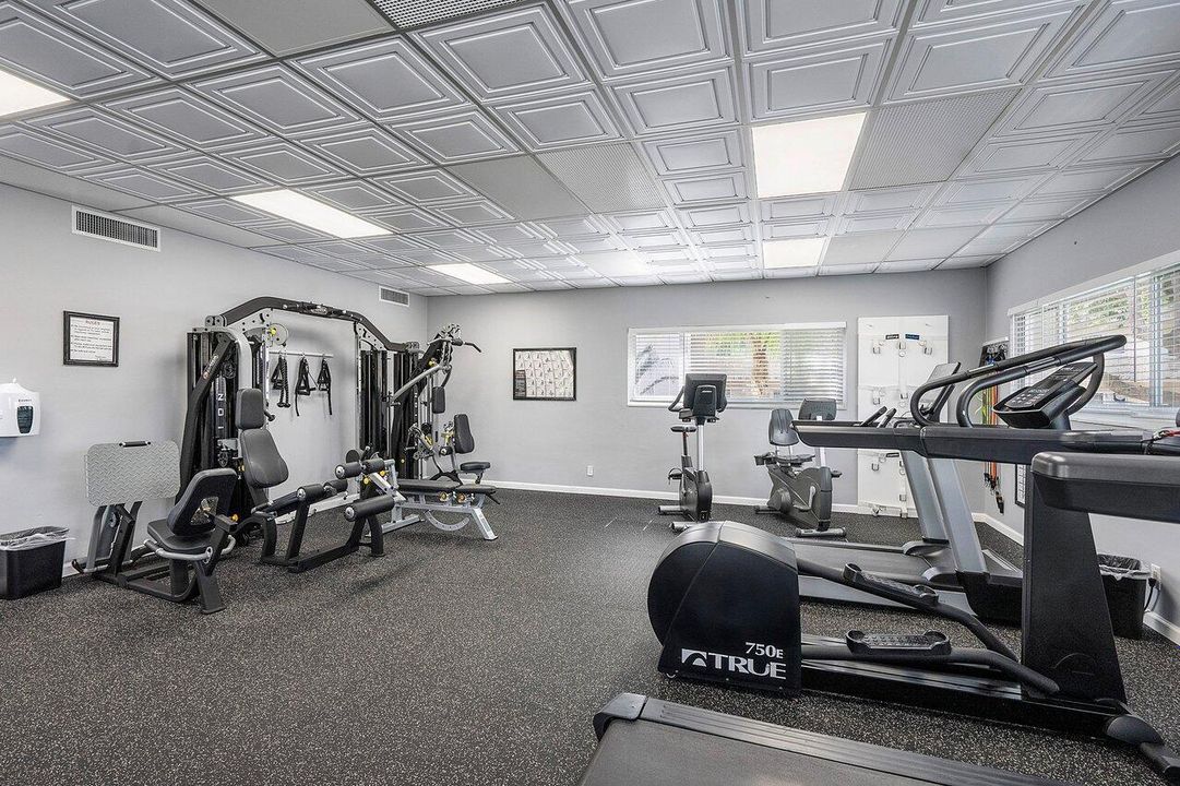 gym 3