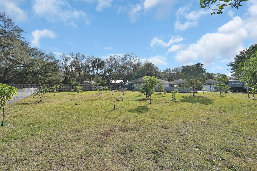 BACK YARD