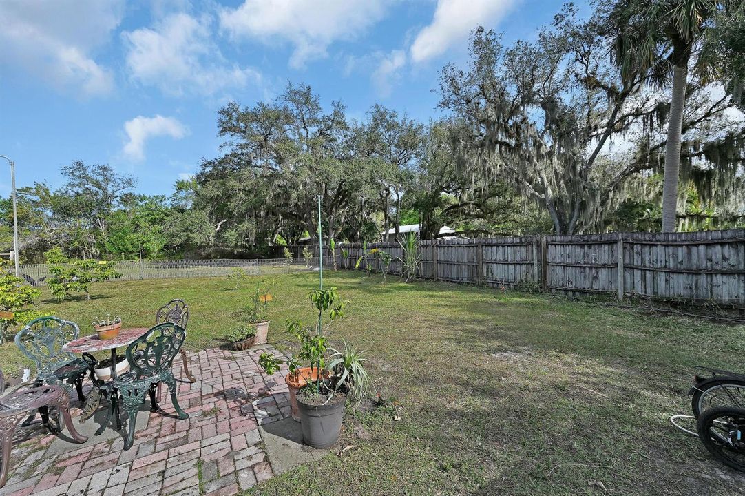 BACK YARD
