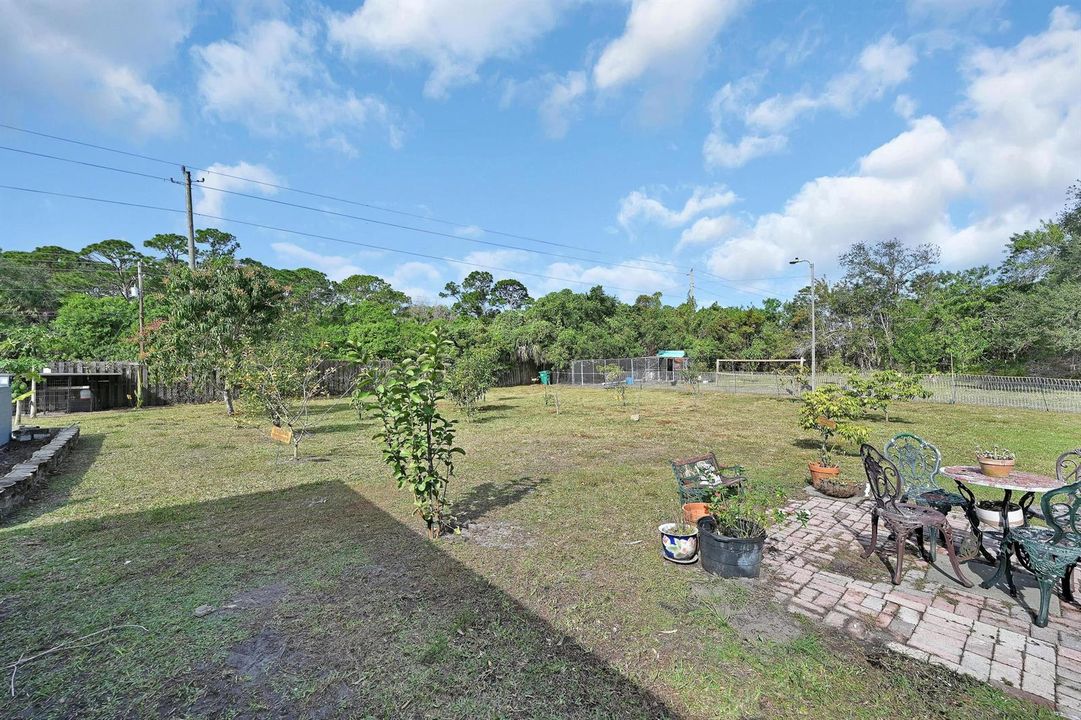 FRUIT TREES