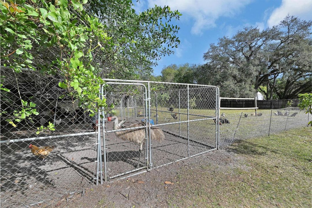 REAR YARD