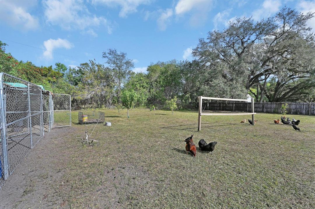 REAR YARD