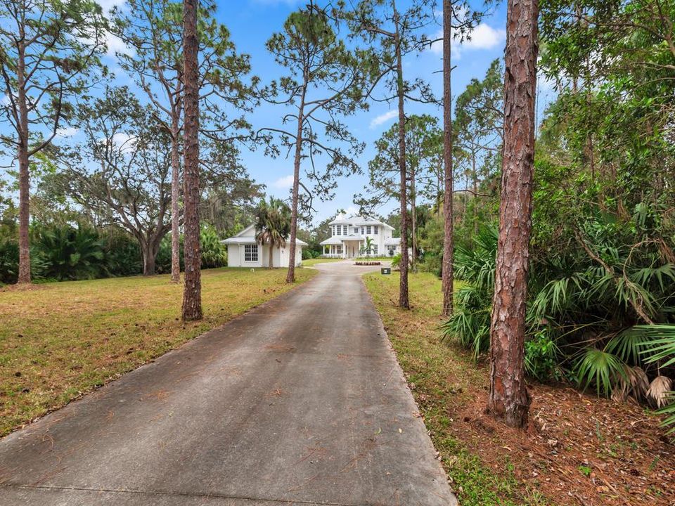 Driveway