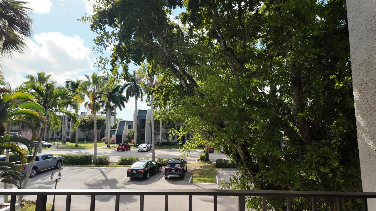 Front Door View