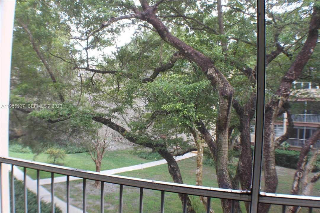 mature trees