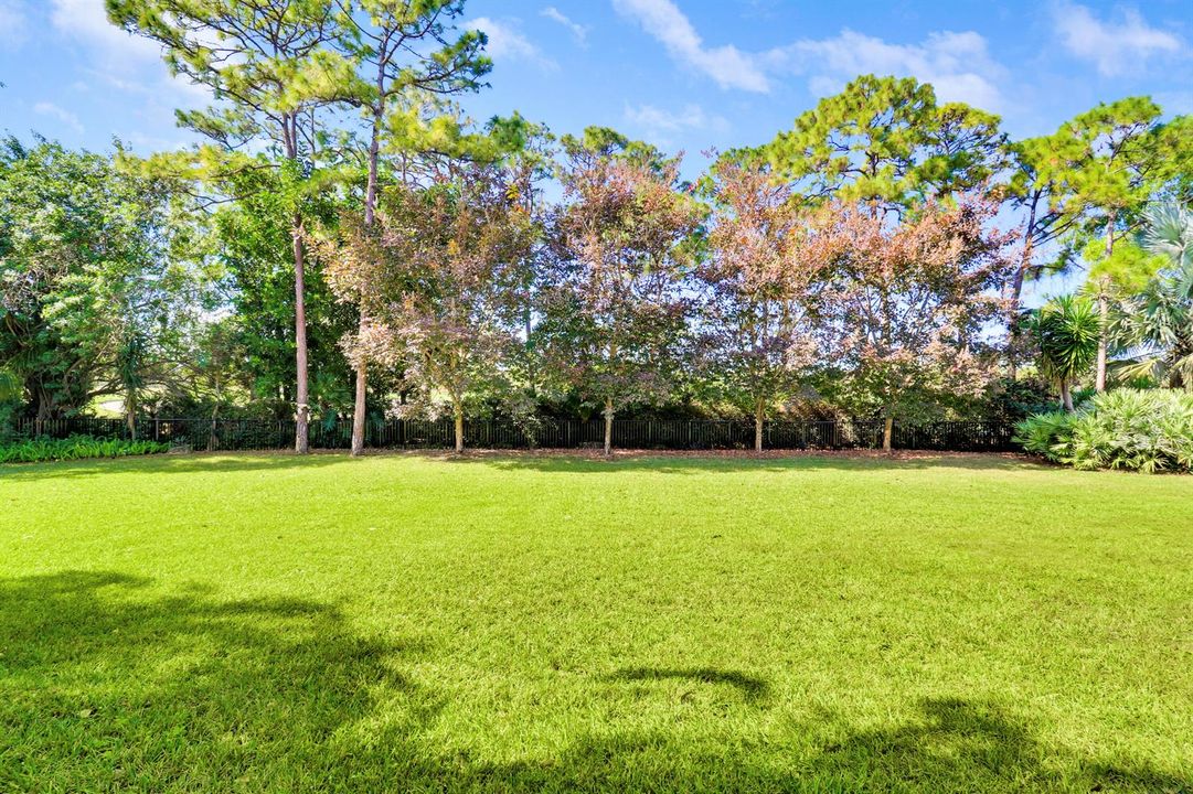 Backyard Facing West