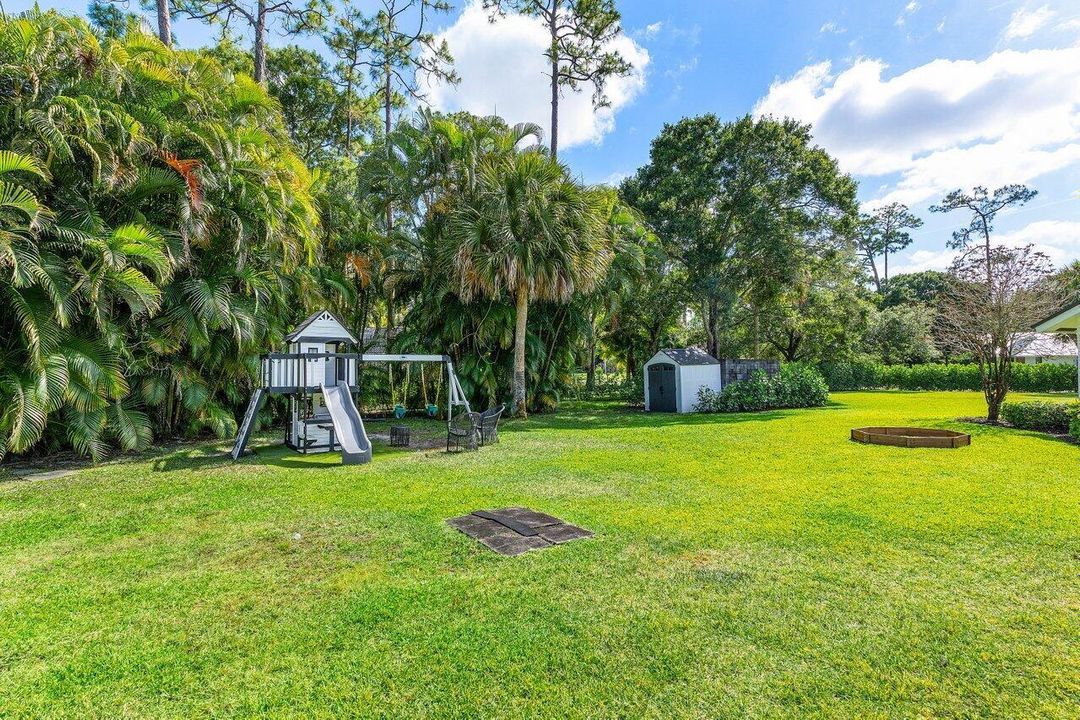 Back yard view