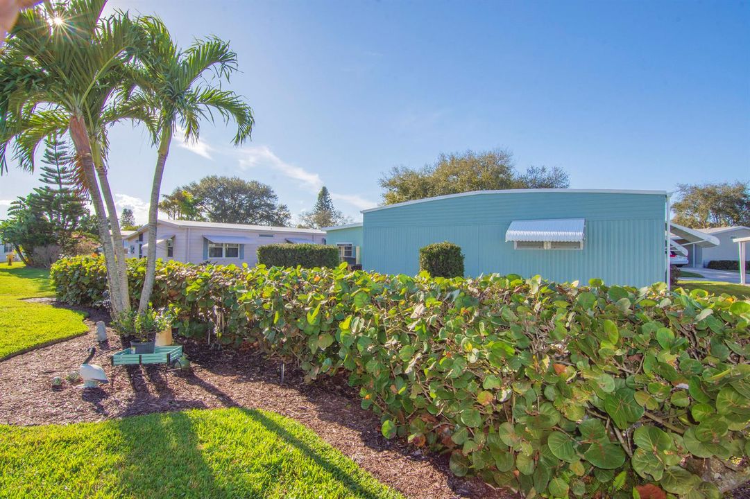 Rear House-Backyard