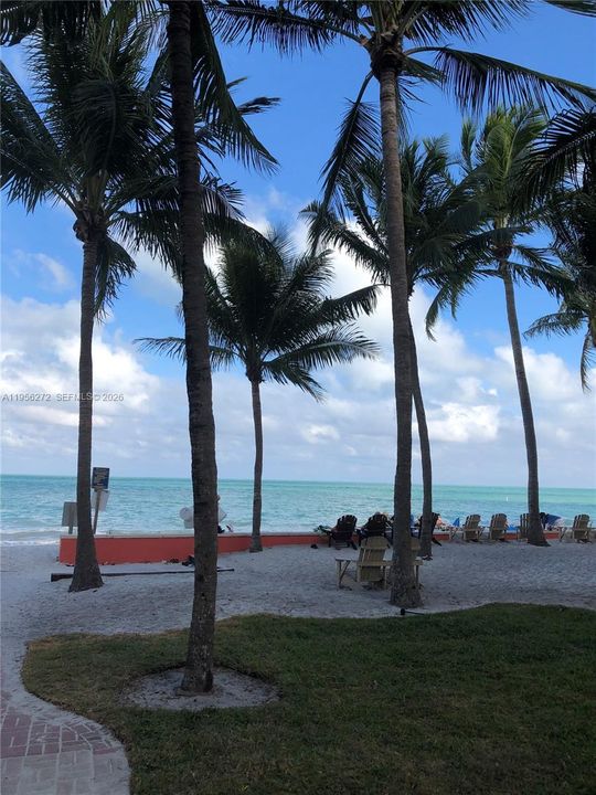 Beach social areas