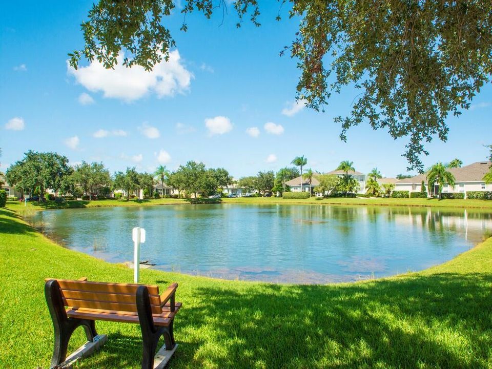 SITTING BENCH VIEWS
