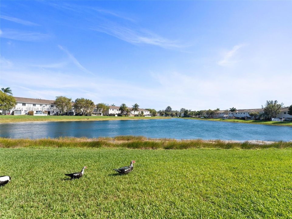 Active With Contract: $255,000 (2 beds, 2 baths, 0 Square Feet)