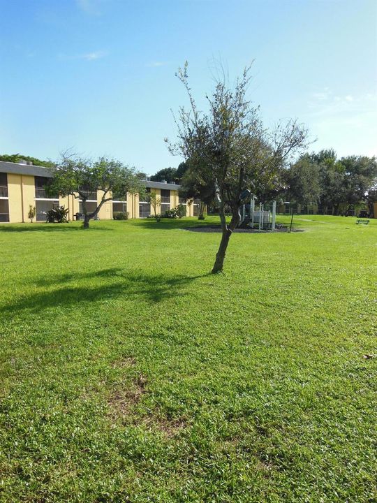 DSCN3372