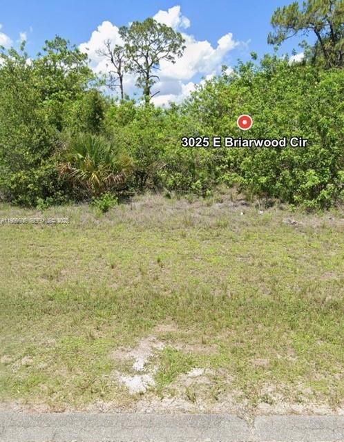 For Sale: $28,999 (0.24 acres)