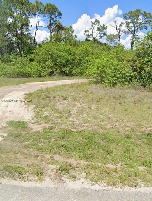 For Sale: $28,999 (0.24 acres)