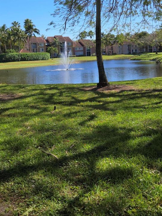 Lake View in Community