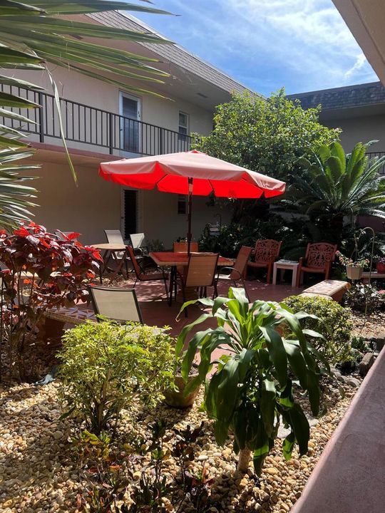 patiODAVIS