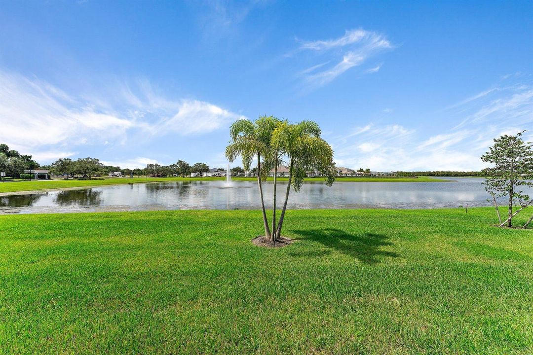 View to Lake