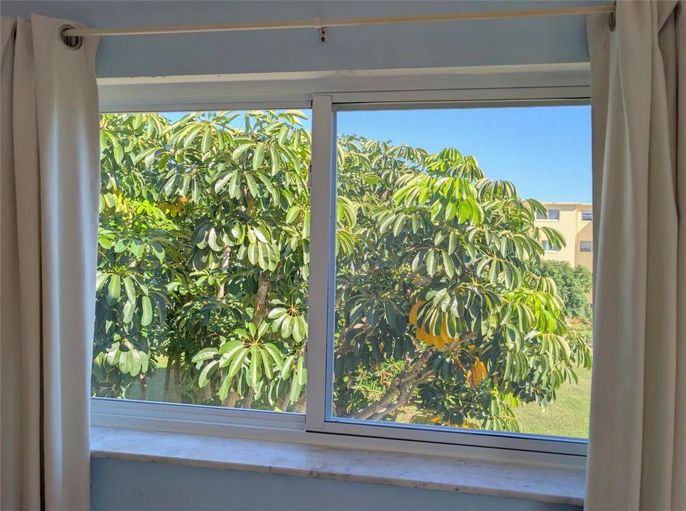 Impact windows in bedrooms