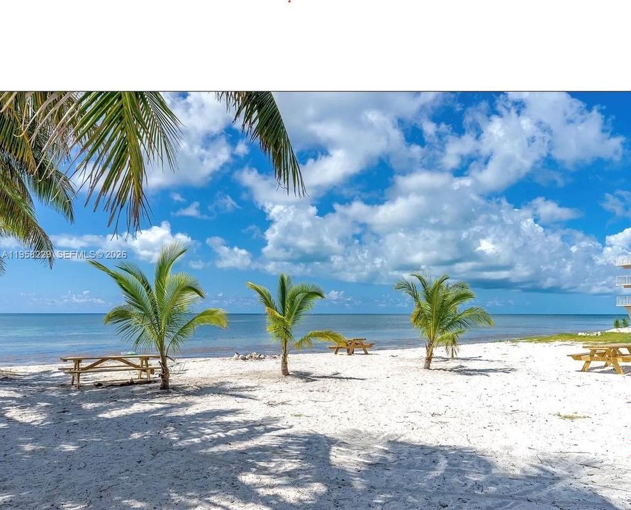 Community Beach