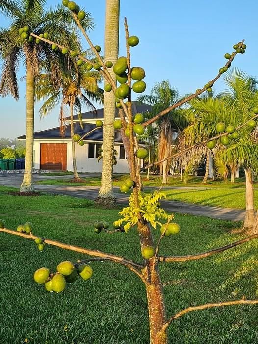En Venta: $1,539,900 (4 camas, 3 baños, 3540 Pies cuadrados)