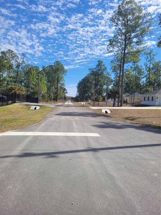 En Venta: $78,000 (1.25 acres)